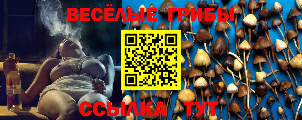 Южно-Сахалинск  Псилоцибиновые грибы ЛСД  Галлюциногенные грибы Cubensis  Вход с VPN 