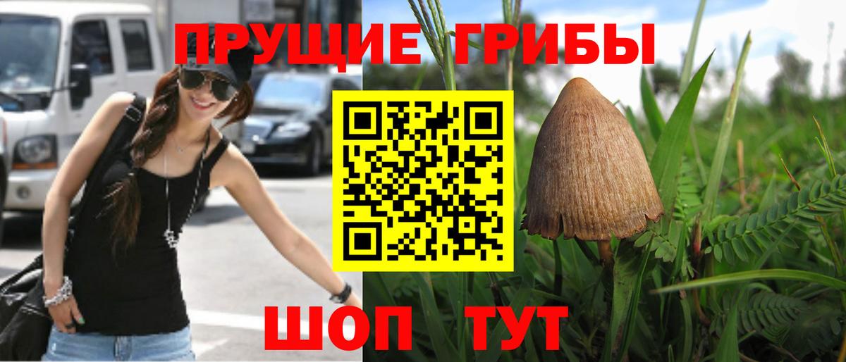 Галлюциногенные грибы Cubensis Южно-Сахалинск